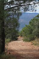La Fuente Retreat