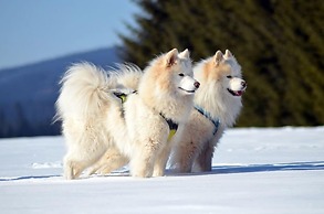 Hakuba Hatago Maruhachi