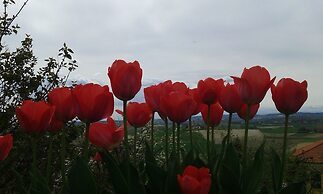 B&B Monferrato La Casa Sui Tetti