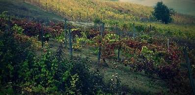 B&B Monferrato La Casa Sui Tetti