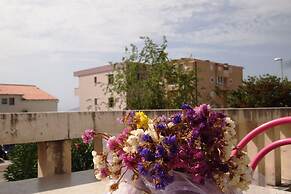 Apartments Dany