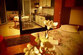 Apartments Dany