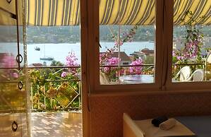 Green Paradise With Magnificent View