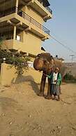 Sauraha Boutique Resort