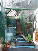 Garden of San Blas