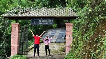 The Lapsi Tree