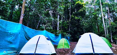 Lake View Camp