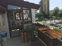 Orange Garden
