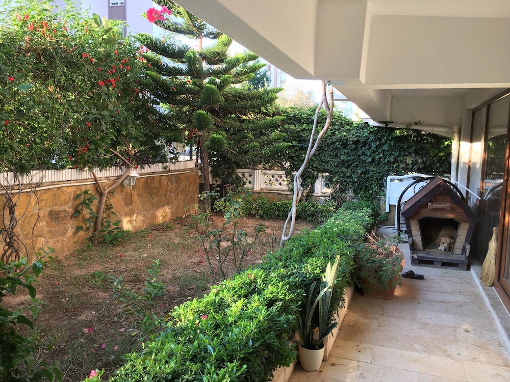 Orange Garden