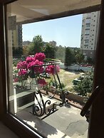Orange Garden