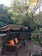 Orange Garden