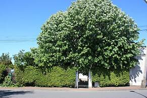 Jardins en Ville