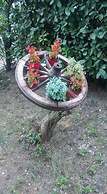 B&B Il Cedro