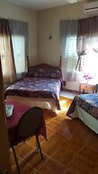 Palm Tree Guest House