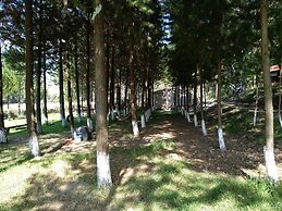 Rancho San Miguel