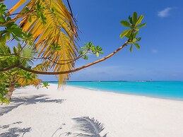 The Standard, Maldives, by Hyatt