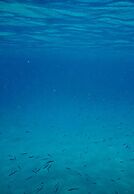 Vivere Azure