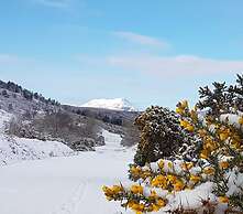 Lochview Guest House