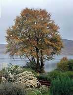 Lochview Guest House