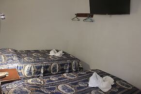 Hostal Alfredo's Palace