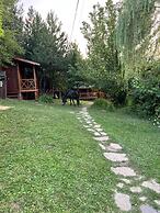 Nesilce Tatil Koyu