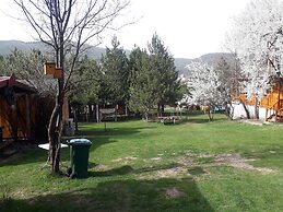 Nesilce Tatil Koyu