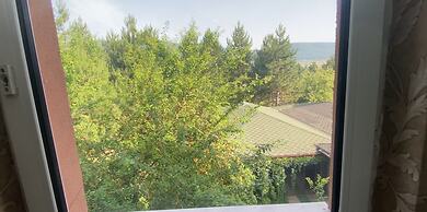 Nesilce Tatil Koyu