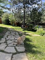 Nesilce Tatil Koyu