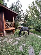 Nesilce Tatil Koyu