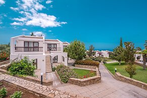 The Olive Tree Hotel