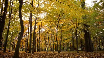 Camping Saint Paul