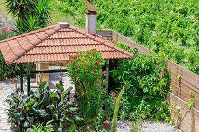 Villa Agricola
