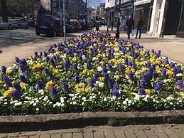 Landmark Apartments Harrogate