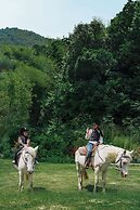 Ahn Lan Ninghai