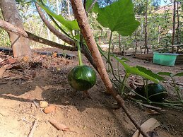 Mount Avangan Eco Adventure Park