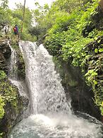 Mount Avangan Eco Adventure Park