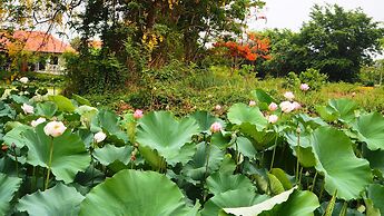 Poolvilla Chiangmai