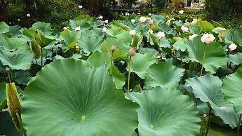 Poolvilla Chiangmai