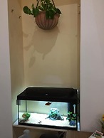 B&B Prestige