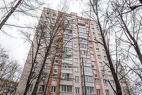 Donskoy Studio