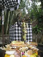 Ubud Wins Bungalow