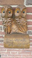 Eulennest