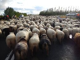 Hestakráin