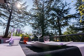 Hotel Villa Sandi