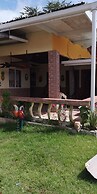 Hotel Los Troncos