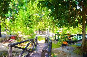 Bougainvillea Paradise Campground