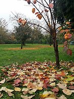 B&B L'Albero Cavo