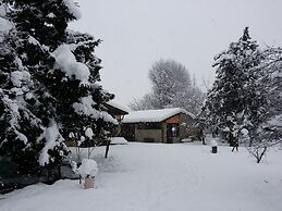 B&B L'Albero Cavo