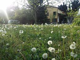 B&B L'Albero Cavo
