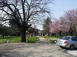 B&B L'Albero Cavo